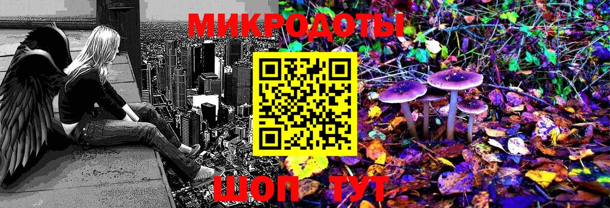 Печора  Галлюциногенные грибы Psilocybine cubensis  Вход с VPN 