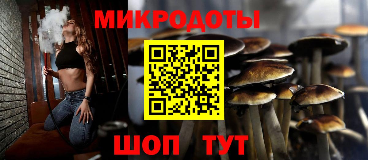 Галлюциногенные грибы Psilocybine cubensis Печора